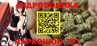 тгк Чебоксары
