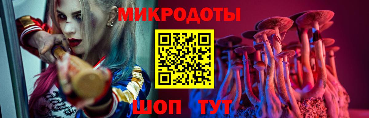 Псилоцибиновые грибы Cubensis  Вход с VPN  Волгодонск 