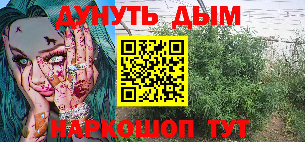 Каннабис ГИДРОПОН  Вход с VPN  Волгодонск  Бошки Шишки планчик  Канабис Ganja  Каннабис ГИДРОПОН 